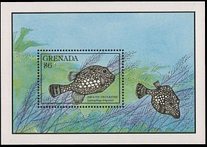 Гренада, 1990, Рыбы, блок